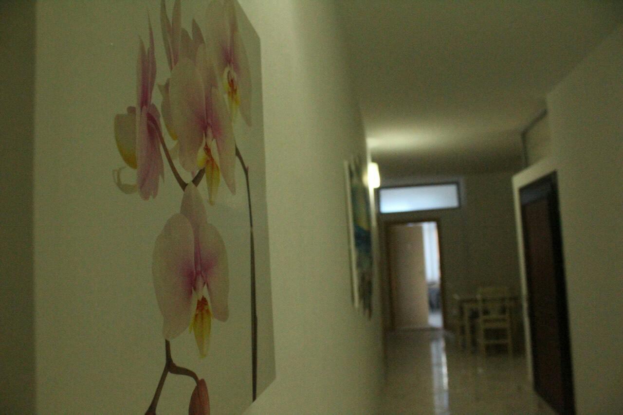 Hotel Kaqaniku Shëngjin المظهر الخارجي الصورة